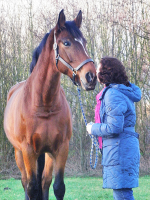 /album/fotogalerij/afscheidsshoot-6-png/